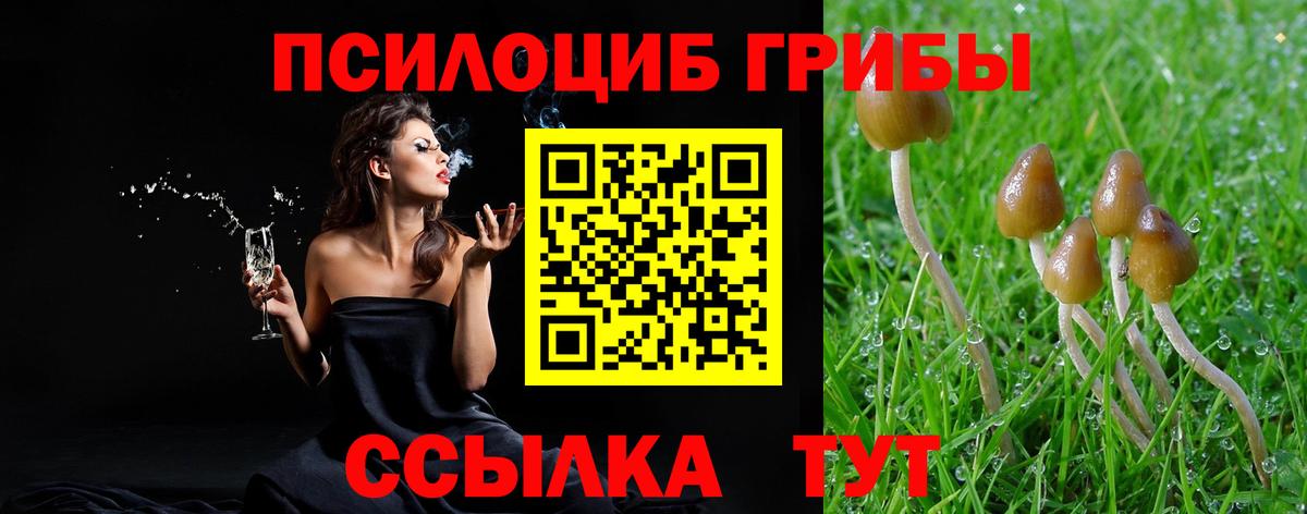 Галлюциногенные грибы Cubensis Губкинский